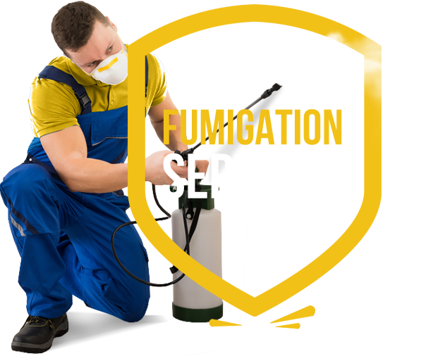 Fumigation services deals